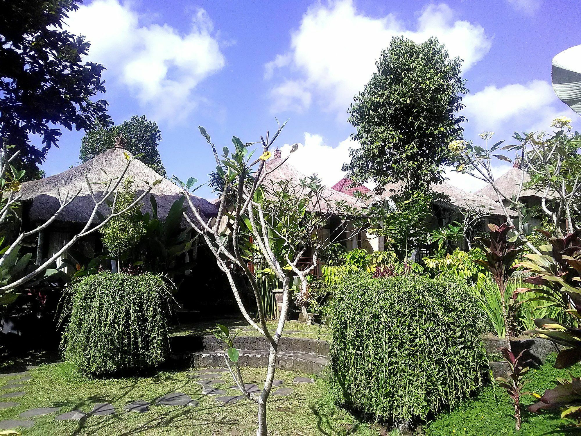 Astawa House Hotel Ubud  Exterior photo